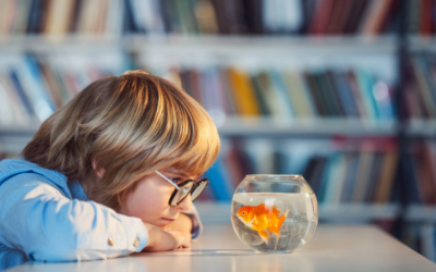 What’s In It For You?